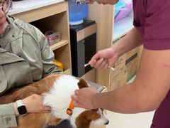 -宠福鑫康馨动物医院·骨科·眼科