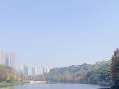 -重庆彩云湖湿地公园