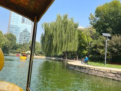 -团结湖公园
