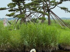 -黑龙江扎龙生态旅游区