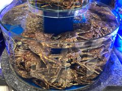 -新海渔港·胶东海鲜家常菜·家宴(奥体中心店)