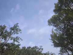 -白沙门生态公园