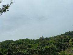 -呼吸森林·生态农庄农家乐私房菜