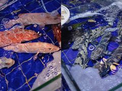 -79号渔船海鲜饭店(华强北店)