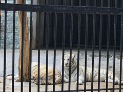 -广东茂名森林公园