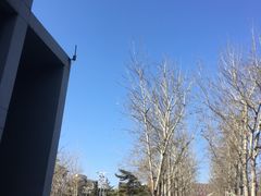 -北京外国语大学东院食堂