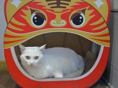 -南枝小馆(银鱼巷店)