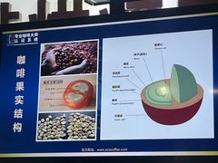 -PCA专业咖啡技能训练营(西南重庆总部)