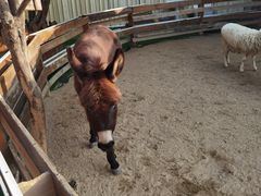 -HERRE·FARM 赫尔露营农场·团建聚会包场