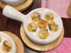-黑松白鹿(金融街店)