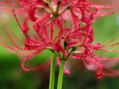 -白塘生态植物园