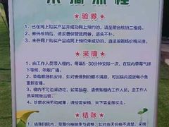 -小鱼草莓采摘园农家乐·小鱼餐厅