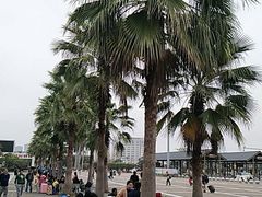-海口站
