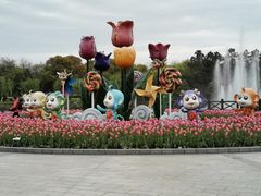 -上海鲜花港
