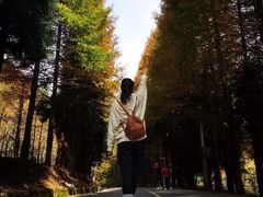 -山王坪喀斯特国家生态公园