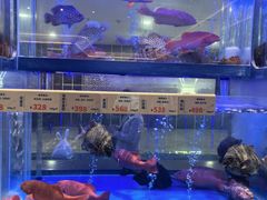 -南海渔村(珠江新城店)