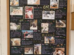 -小时光咖啡馆(开森度假森林店)