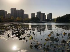 -新江湾城公园