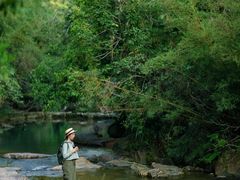 -广州白江湖森林公园