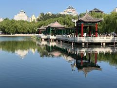 -莲花池公园