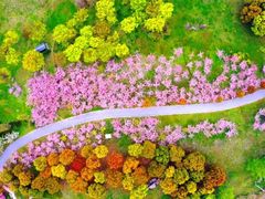 -苏州太湖国家湿地公园