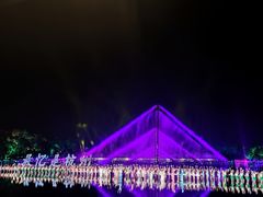 -印象西湖·最忆是杭州实景演出