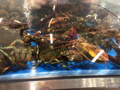 -盒马鲜生(莱蒙都会店)