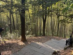 -十里琅珰