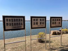 -丁香湖公园