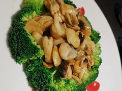 -安多素食(广仁寺路店)