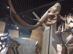 -国家自然博物馆