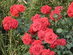 -下沉广场(羊坊店街道)