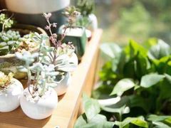 -SAH健身私教工作室(紫东店)