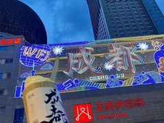 -王府井百货(总府店)