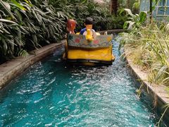 -南宫五洲植物乐园