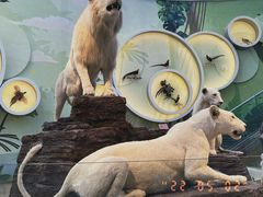 -陕西自然博物馆