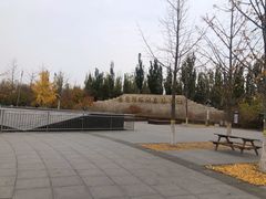 -永定河休闲森林公园