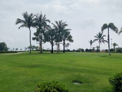 -铭轩中餐厅·海南菜·粤菜(亚龙湾瑞吉店)