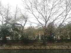 -浙江大学(玉泉校区)