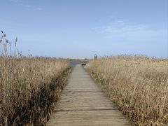 -盐城丹顶鹤湿地生态旅游区