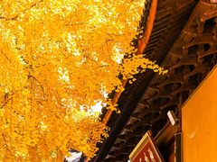 -上海青龙寺