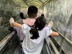 -七仙岭温泉国家森林公园