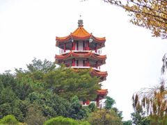 -深圳仙湖植物园
