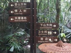 -七仙岭温泉国家森林公园