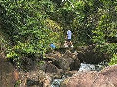 -广州白江湖森林公园