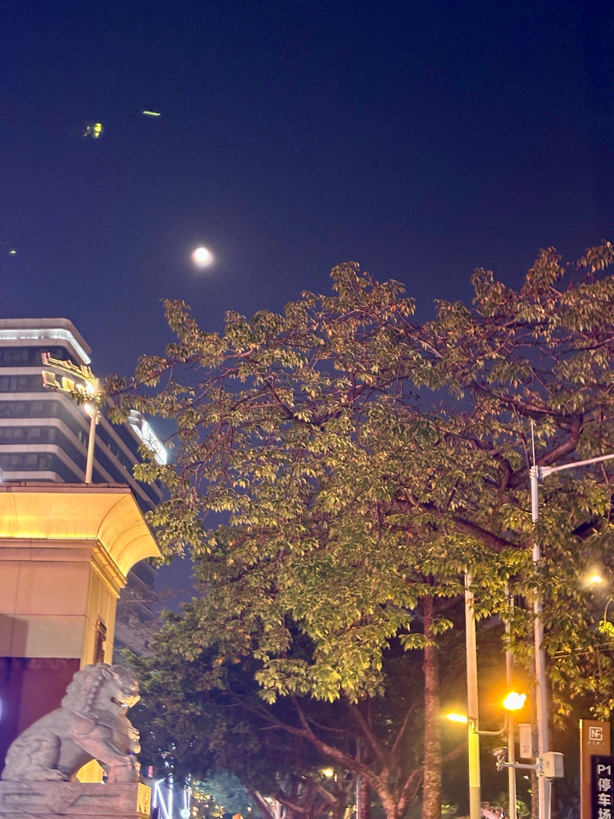 夜街美景✨