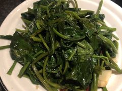 炝炒空心菜-树厨贵州菜(大十字店)