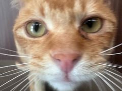 -Again Coffee Roaster(香蜜湖店)