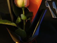 -圣丰索菲特·法国餐厅