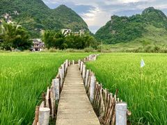 -靖西鹅泉风景区
